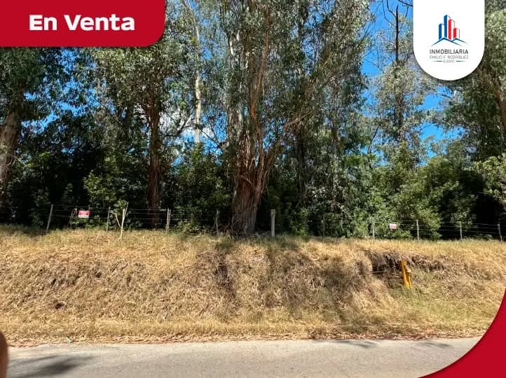 Reforma Universitaria 1700, Tandil